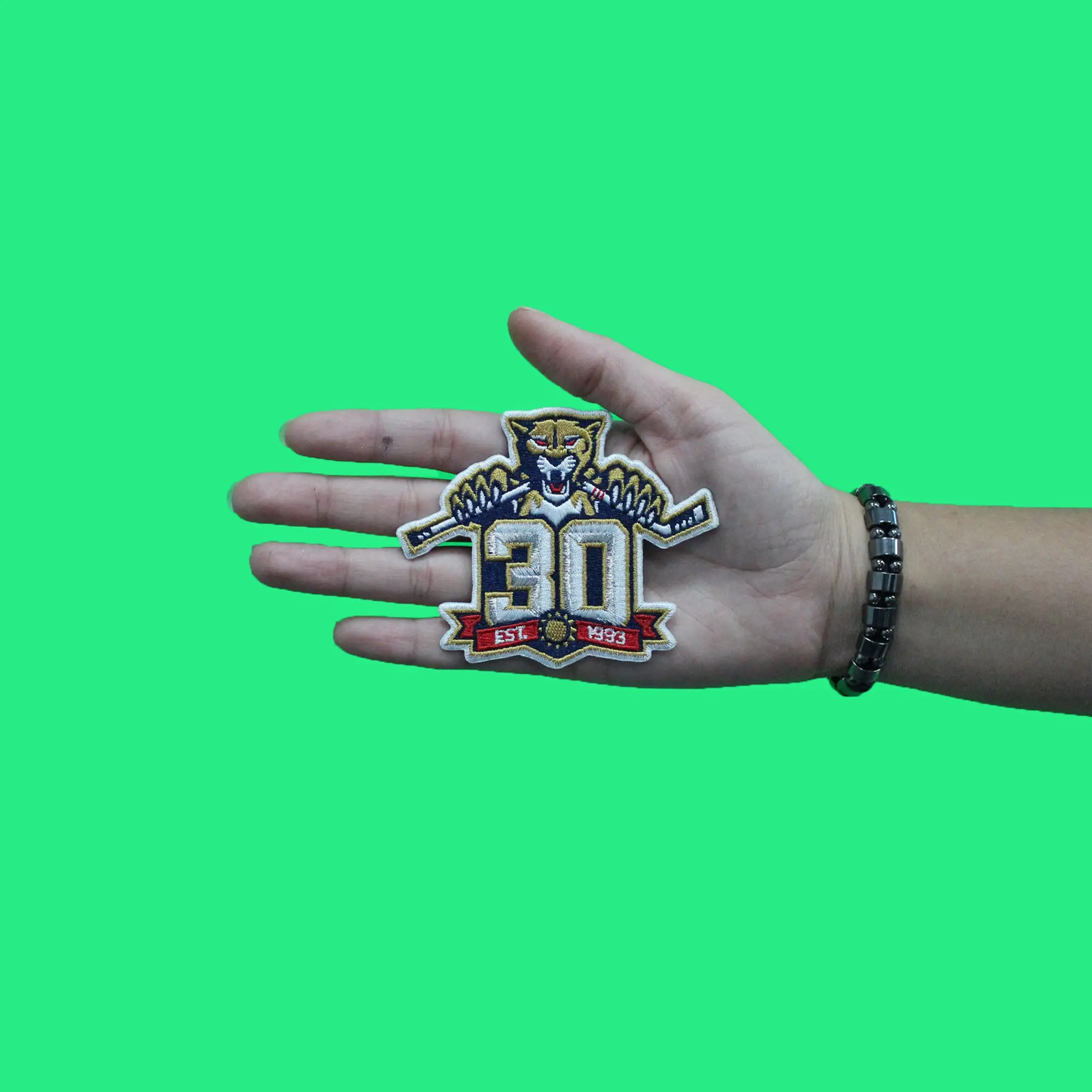 2023 Florida Panthers Team 30th Anniversary Season Logo Jersey Patch - Image 3