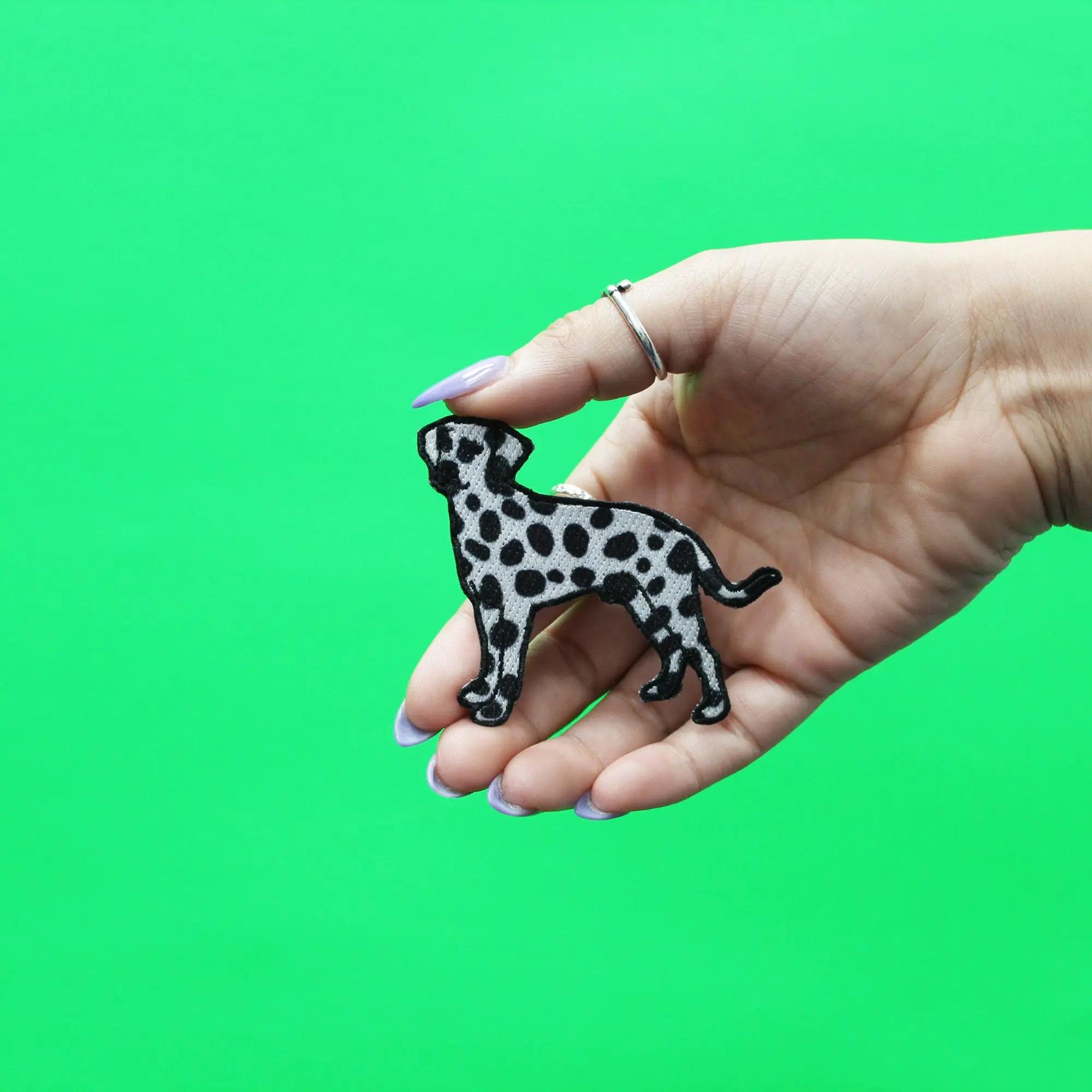 Dalmatian Sublimated Embroidered Iron On Patch - Image 2