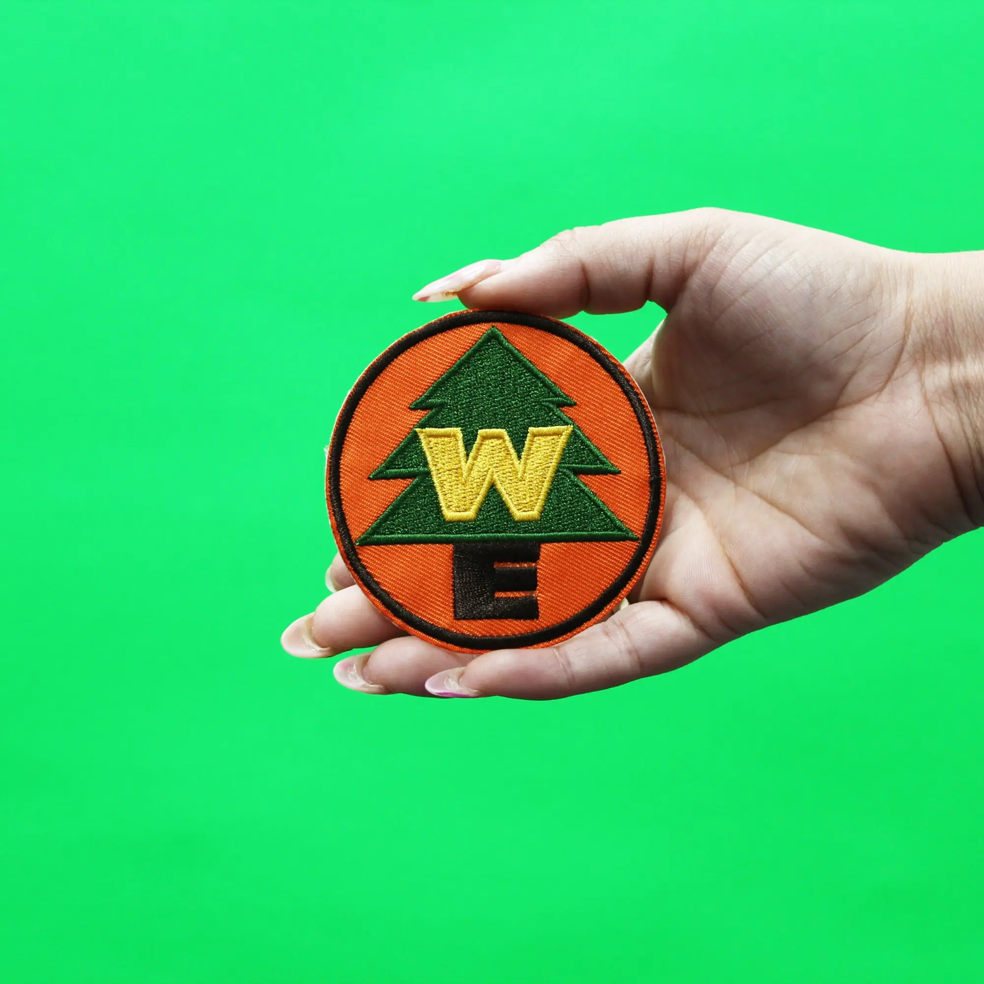 Disney Pixar Movie Up The Wilderness Explorer Boy Scout Patch (Russell) - Image 3