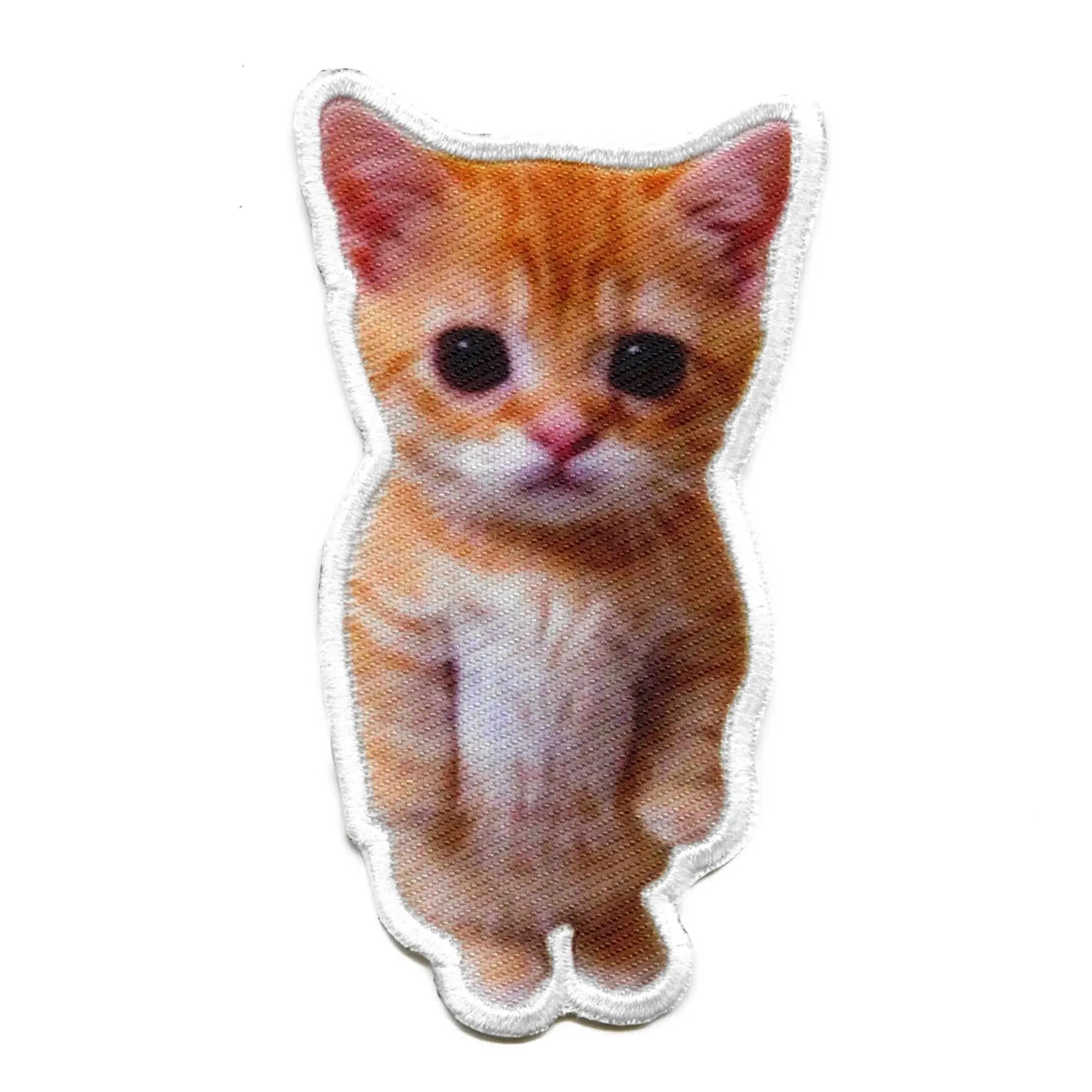 El Gato Cute Cat Photo Patch Animal Sweet Kitten Embroidered Iron On