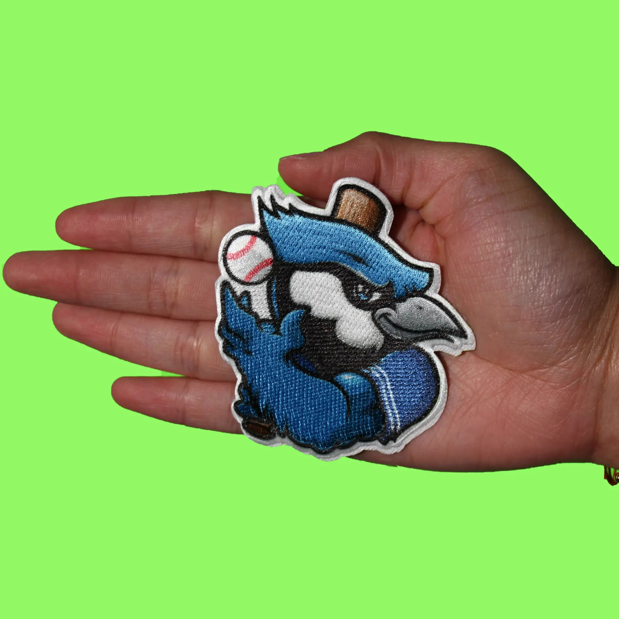 Toronto Canada Mascot PhotoPatch Baseball Blue Bird Parody Embroidery Iron On - Image 2