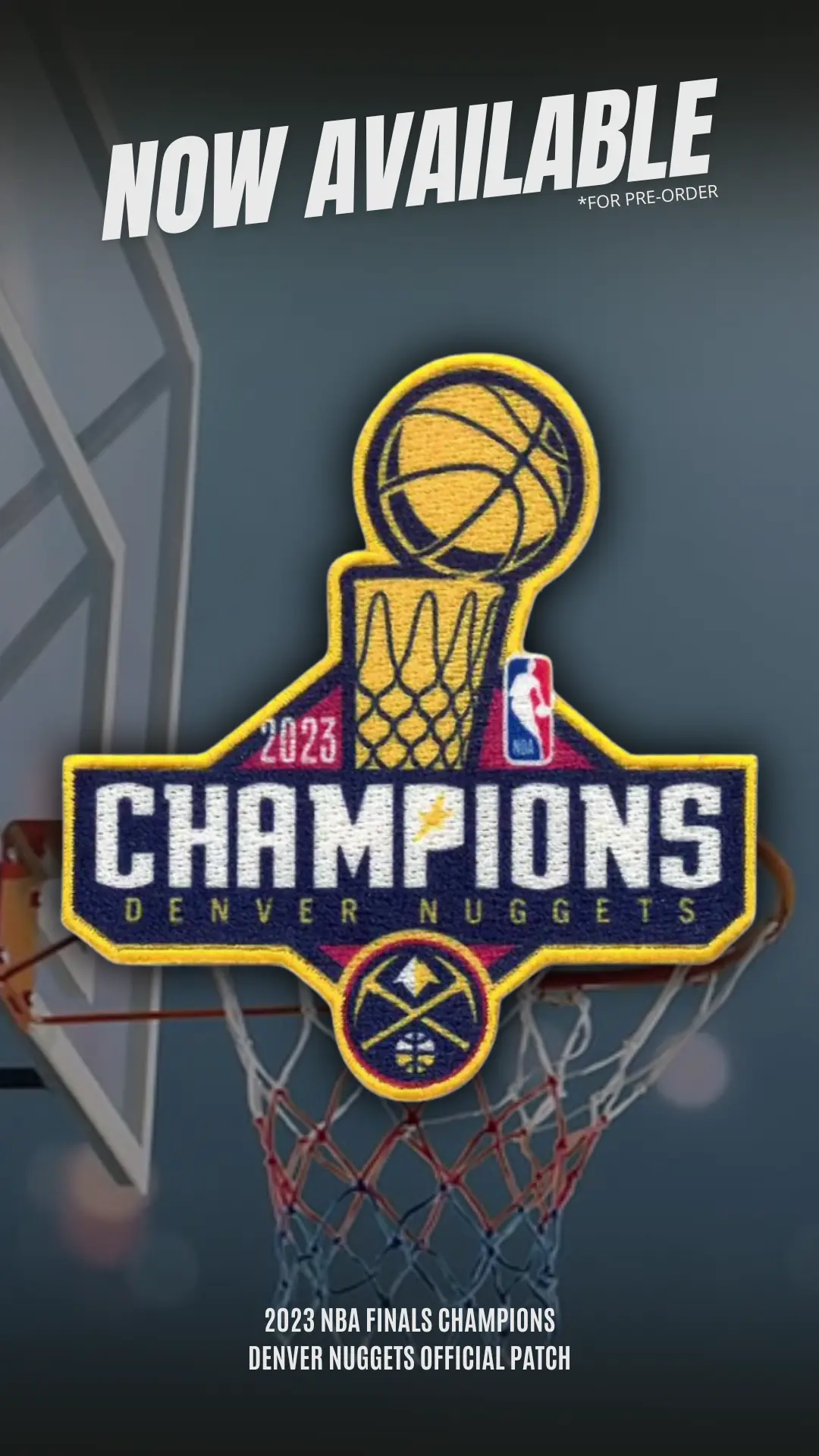 Toronto Raptors Primary Team Logo Patch (1995 - 2008) - Image 13